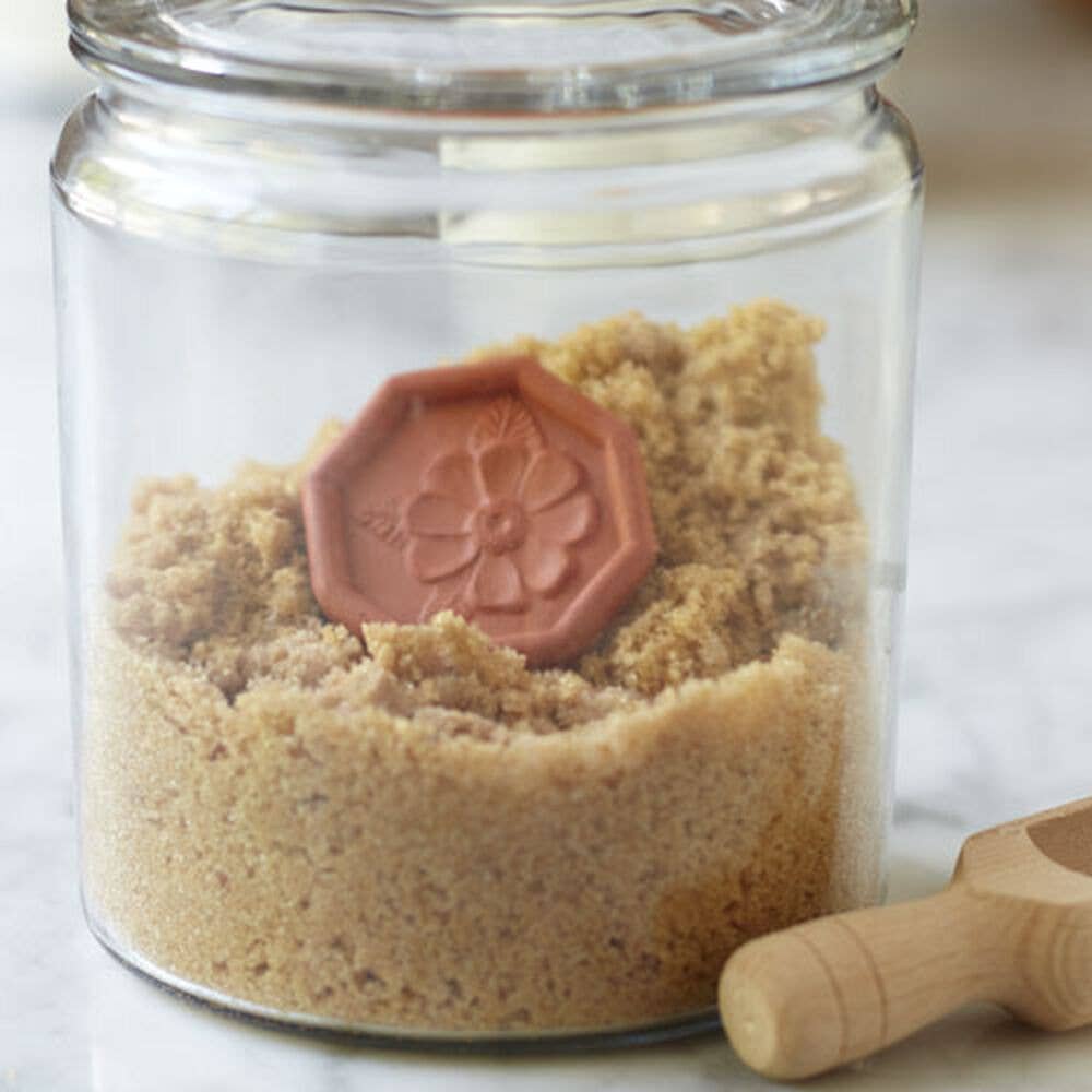 Brown Sugar Saver - Daisy Design